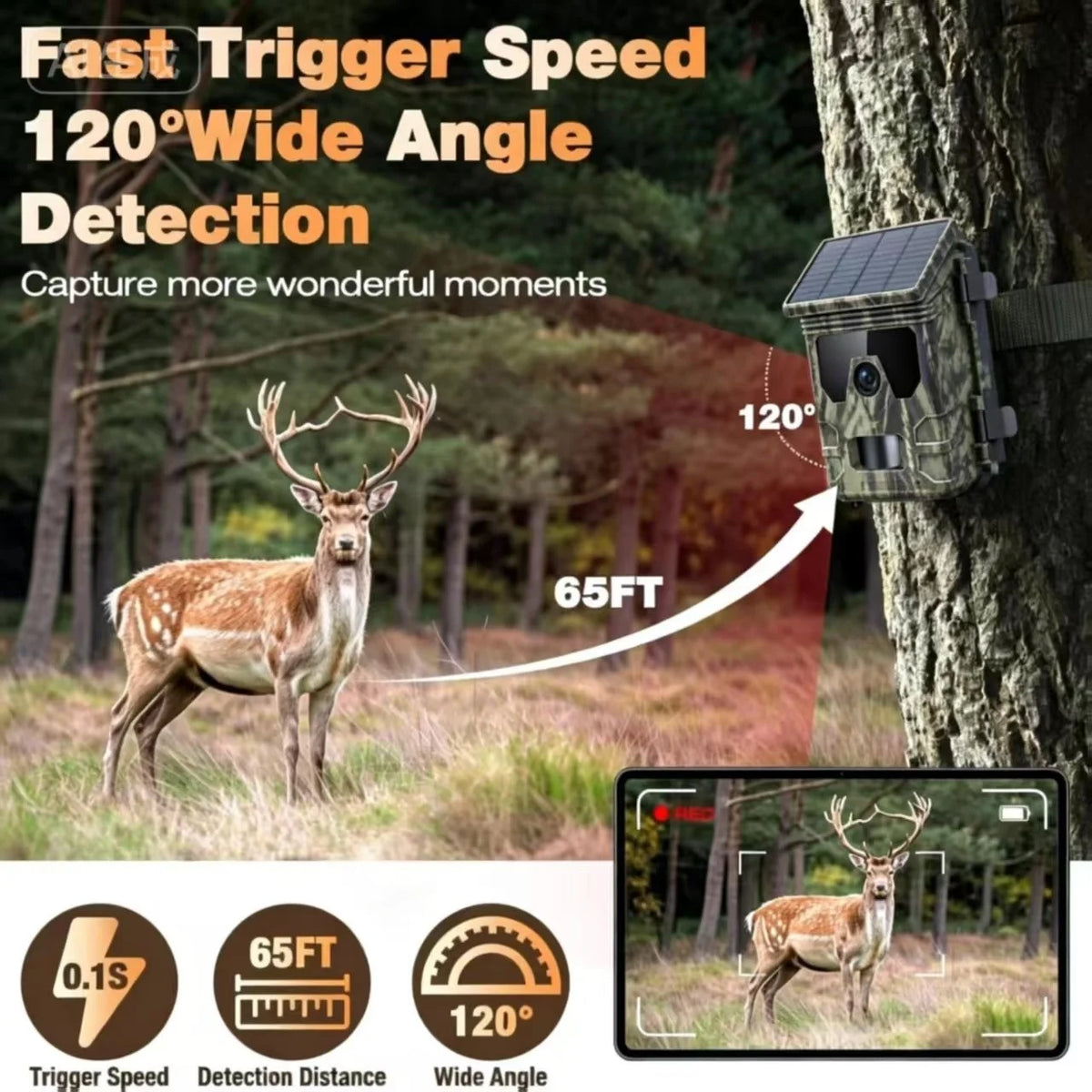 Solar Trail Camera | Motion-Activated Wildlife & Night Vision