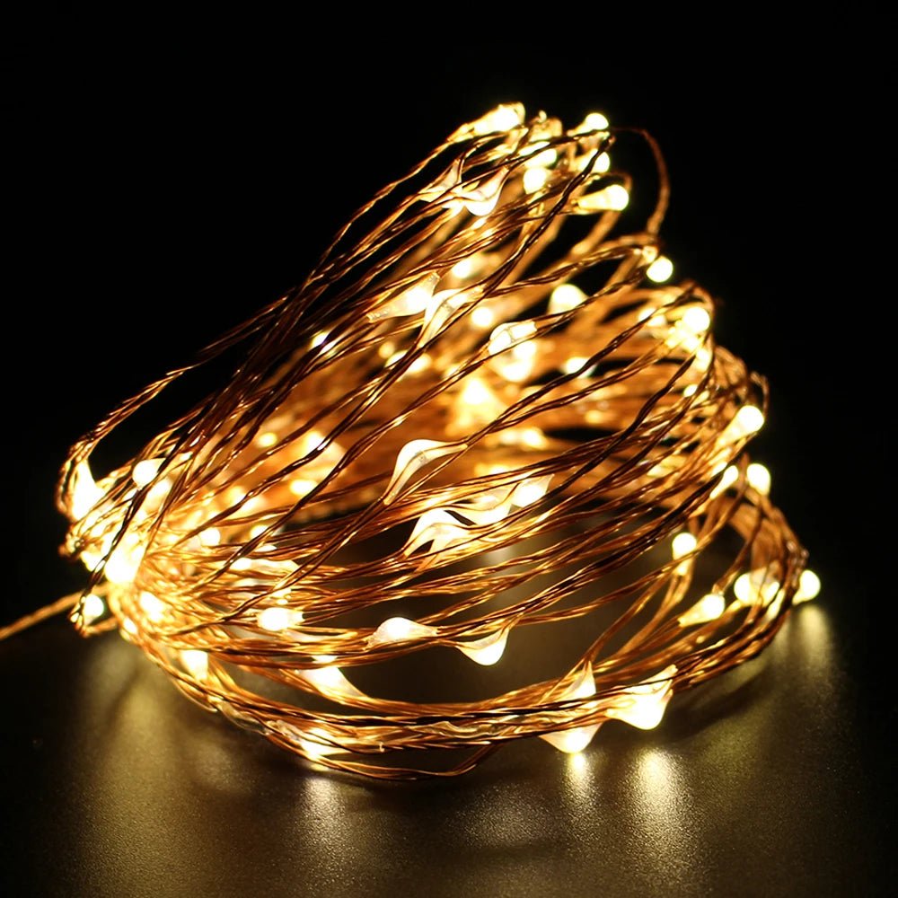 DC12V LED String Lights Outdoor Waterproof - SunTweet