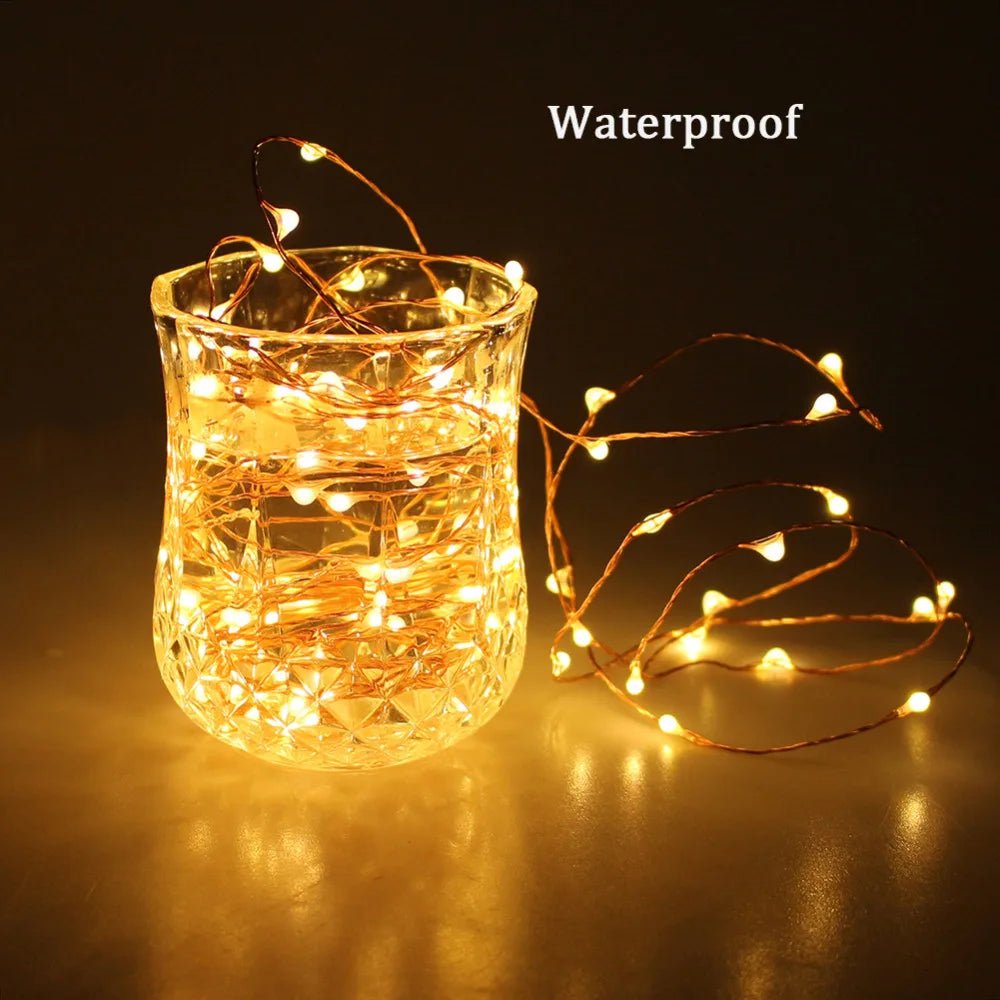 DC12V LED String Lights Outdoor Waterproof - SunTweet
