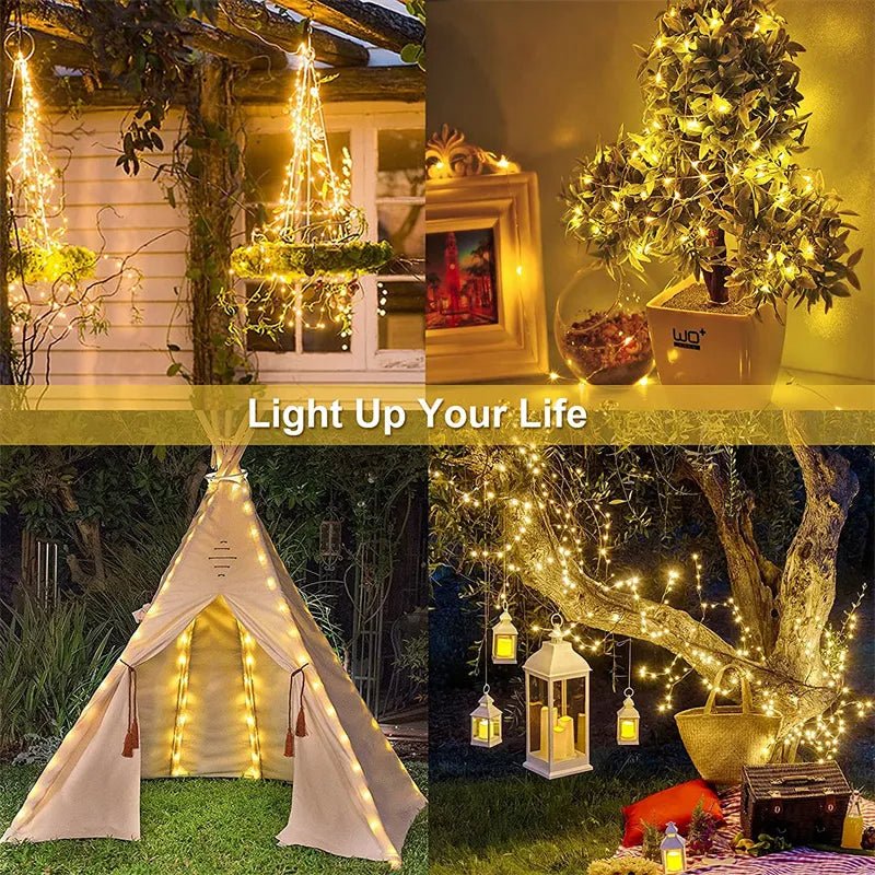 Solar LED Festoon Lights: Multiple Lengths & Packs - SunTweet
