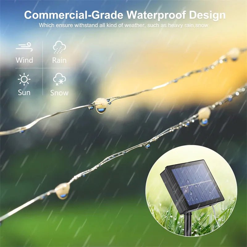 Solar LED Festoon Lights: Multiple Lengths & Packs - SunTweet