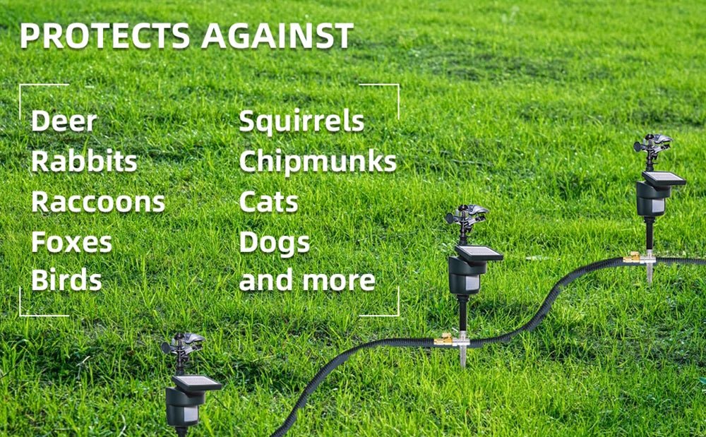 Solar Motion Sensor Sprinkler | Eco - Friendly Animal & Bird Repeller - SunTweet