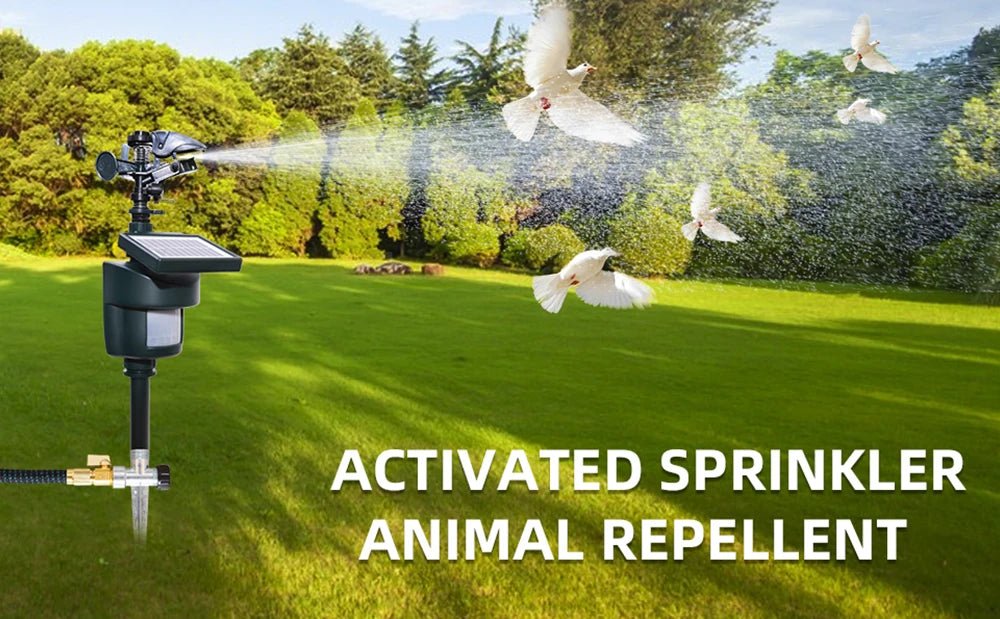 Solar Motion Sensor Sprinkler | Eco - Friendly Animal & Bird Repeller - SunTweet