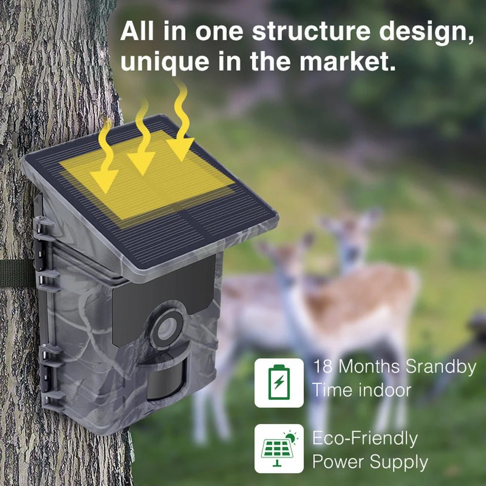 Solar Trail Camera | Motion-Activated Wildlife & Night Vision - SunTweet