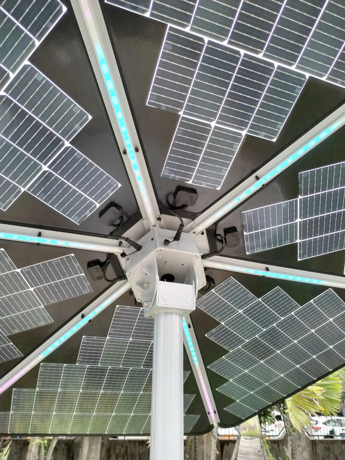 Monocrystalline and TOPCon solar panels compared in a modern solar energy installation
