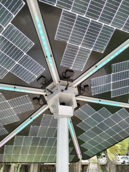 600W Sunflower Solar Panel System | Monocrystalline PV with MPPT Controller &amp; Lithium Battery - SunTweet