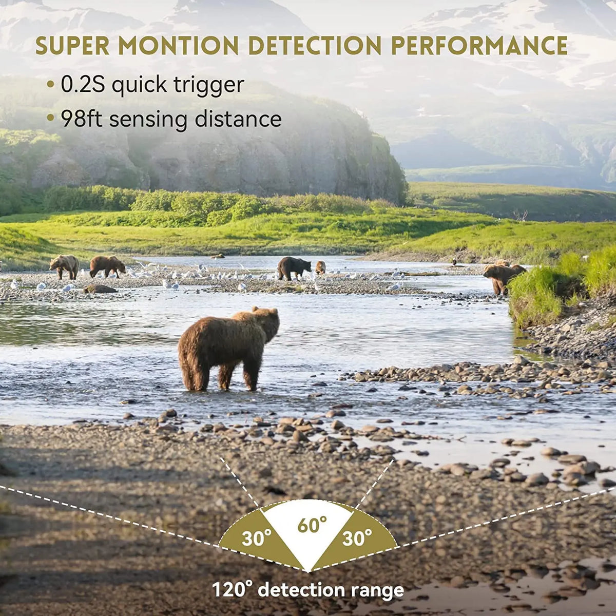 Solar Trail Camera | Motion-Activated Wildlife &amp; Night Vision