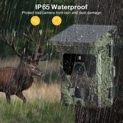 Solar Trail Camera | Motion-Activated Wildlife &amp; Night Vision