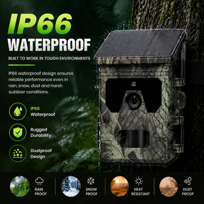 Solar Trail Camera | Motion-Activated Wildlife &amp; Night Vision