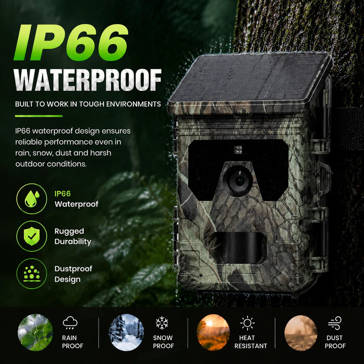 Solar Trail Camera | Motion-Activated Wildlife &amp; Night Vision
