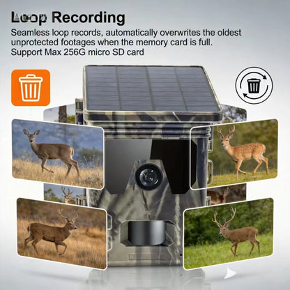 Solar Trail Camera | Motion-Activated Wildlife &amp; Night Vision