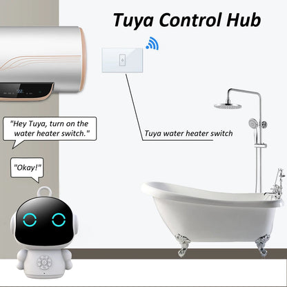 AI Voice Companion Robot with Wi-Fi &amp; Smart Life App