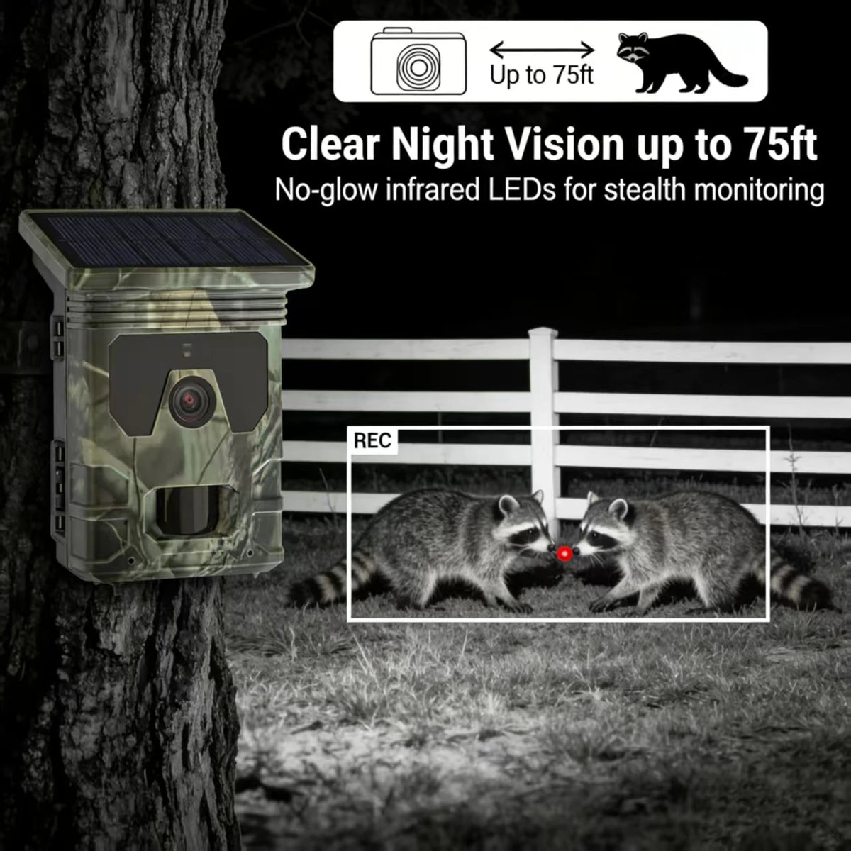 Solar Trail Camera | Motion-Activated Wildlife &amp; Night Vision