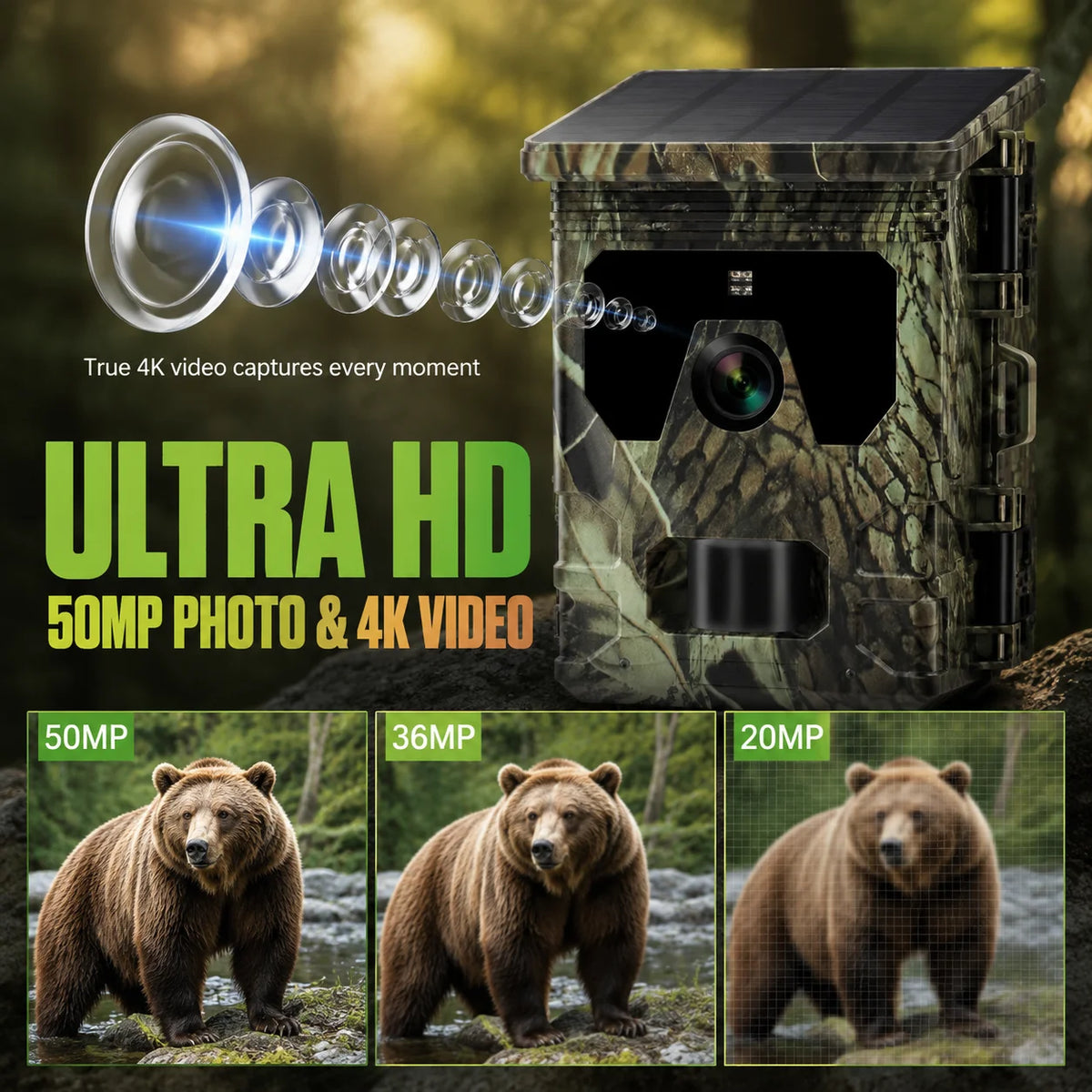 Solar Trail Camera | Motion-Activated Wildlife &amp; Night Vision