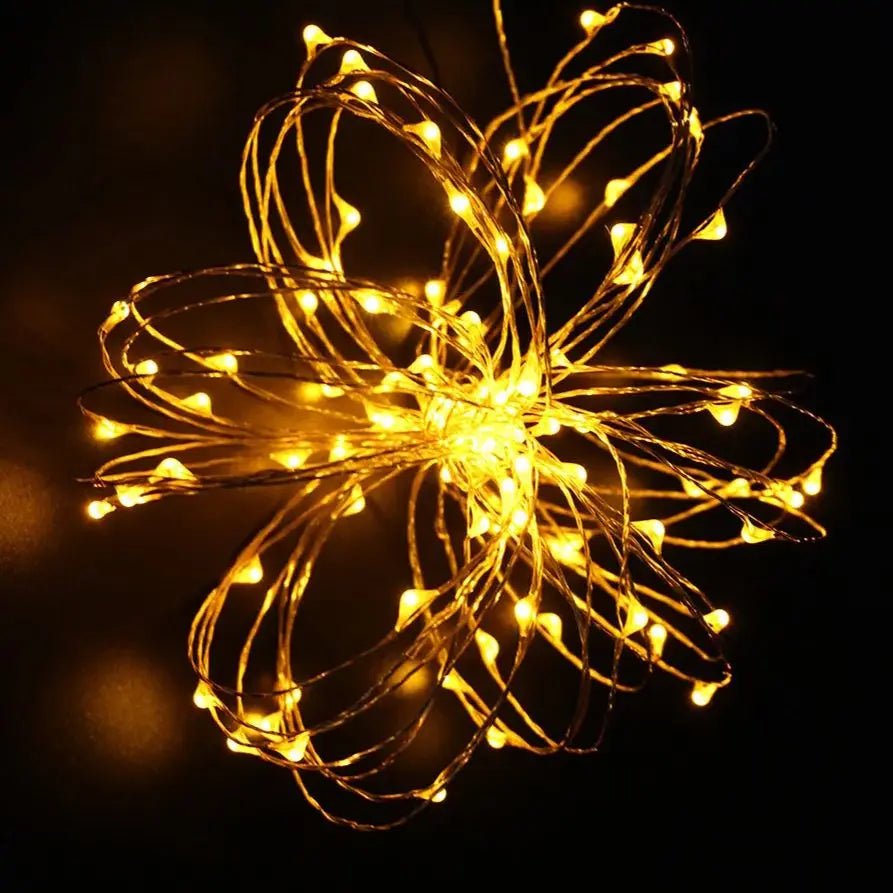 DC12V LED String Lights Outdoor Waterproof - SunTweet