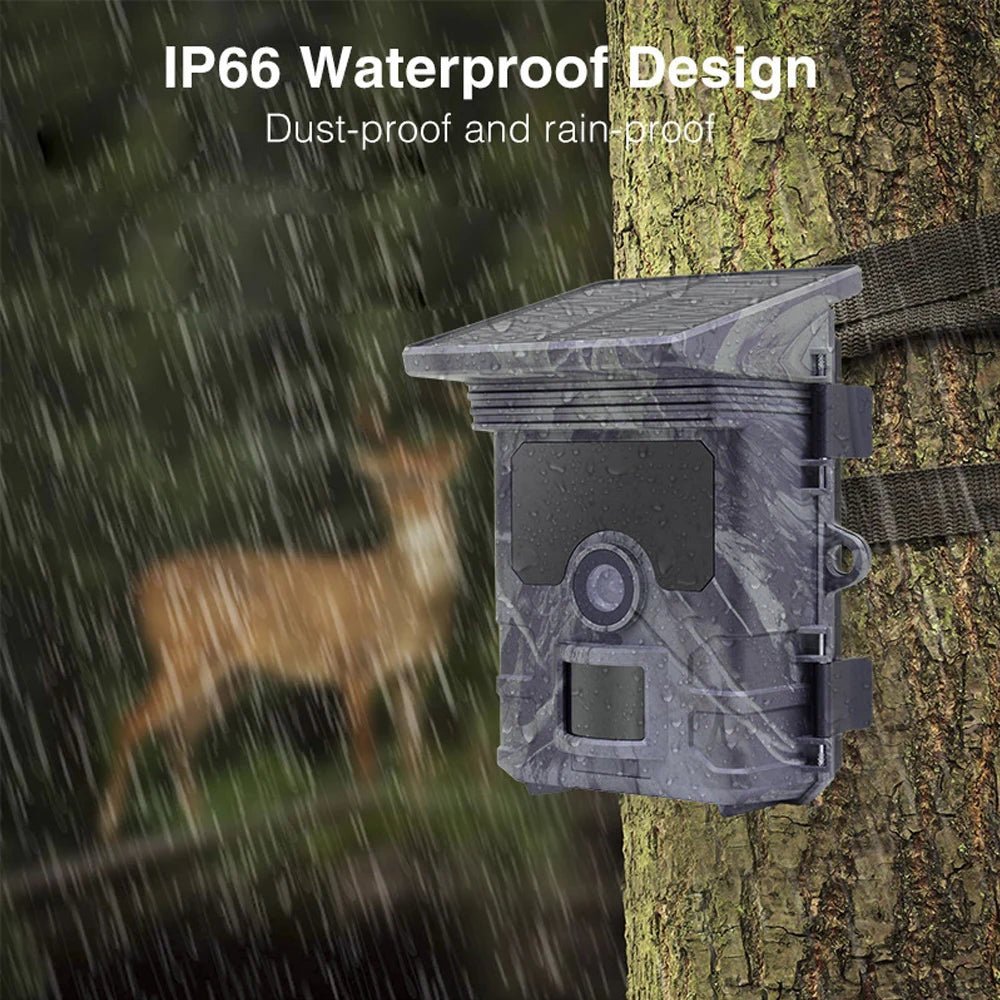 Solar Trail Camera | Motion-Activated Wildlife &amp; Night Vision - SunTweet