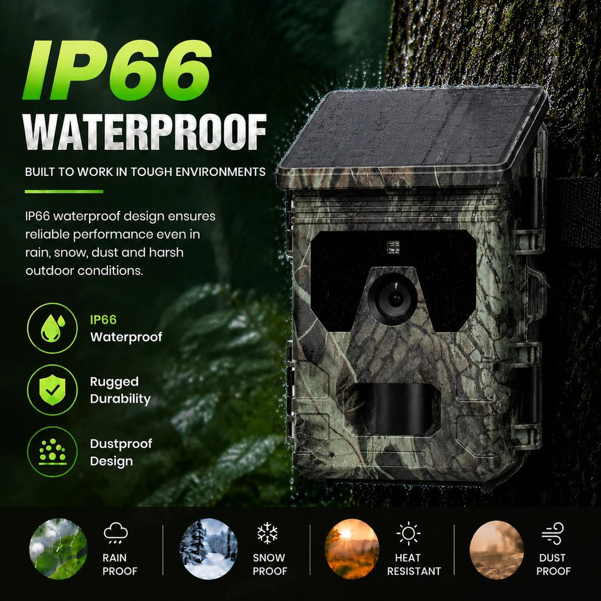 Solar Trail Camera | Motion-Activated Wildlife &amp; Night Vision - SunTweet