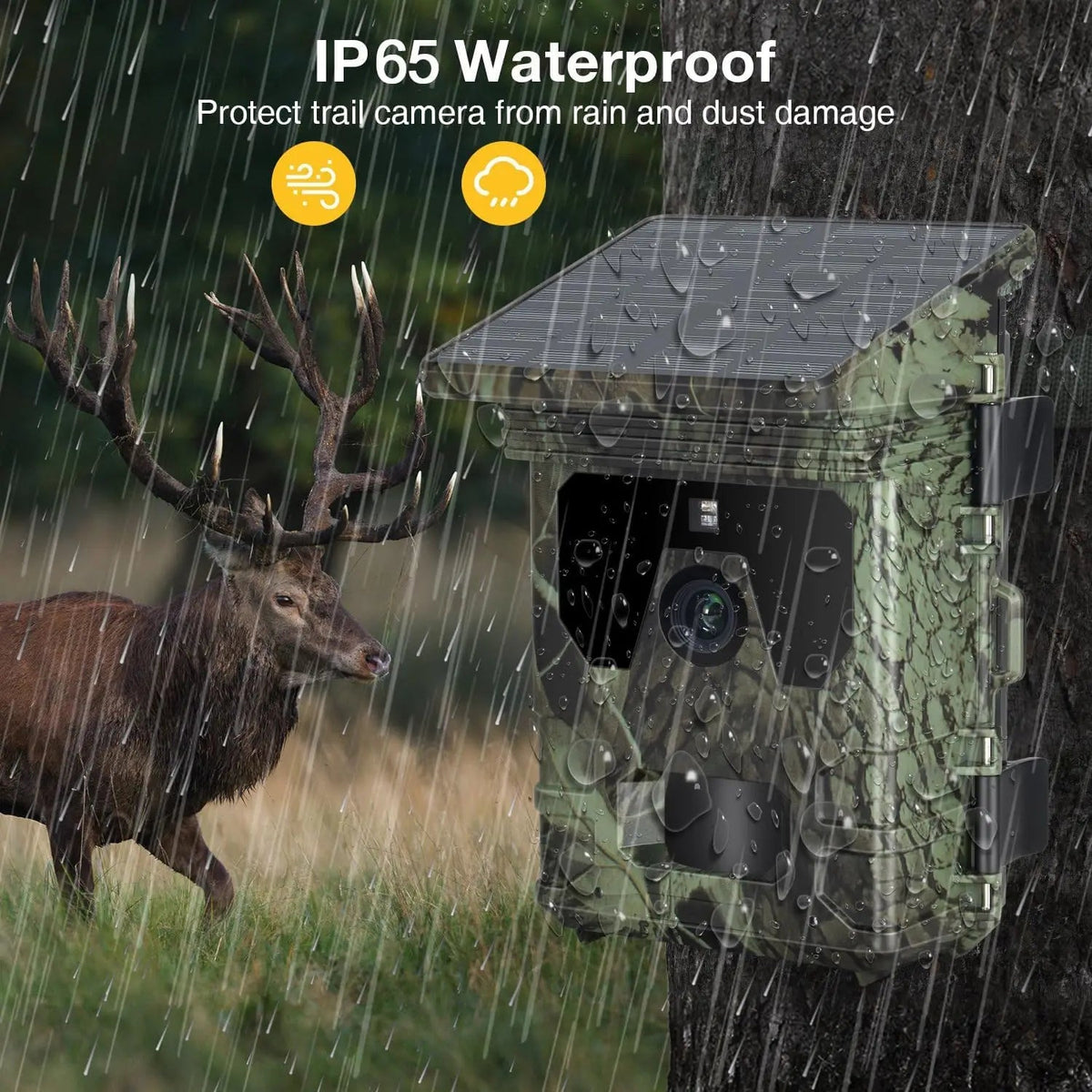 Solar Trail Camera | Motion-Activated Wildlife &amp; Night Vision - SunTweet