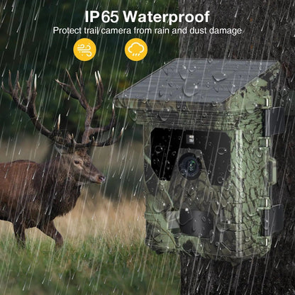 Solar Trail Camera | Motion-Activated Wildlife &amp; Night Vision - SunTweet